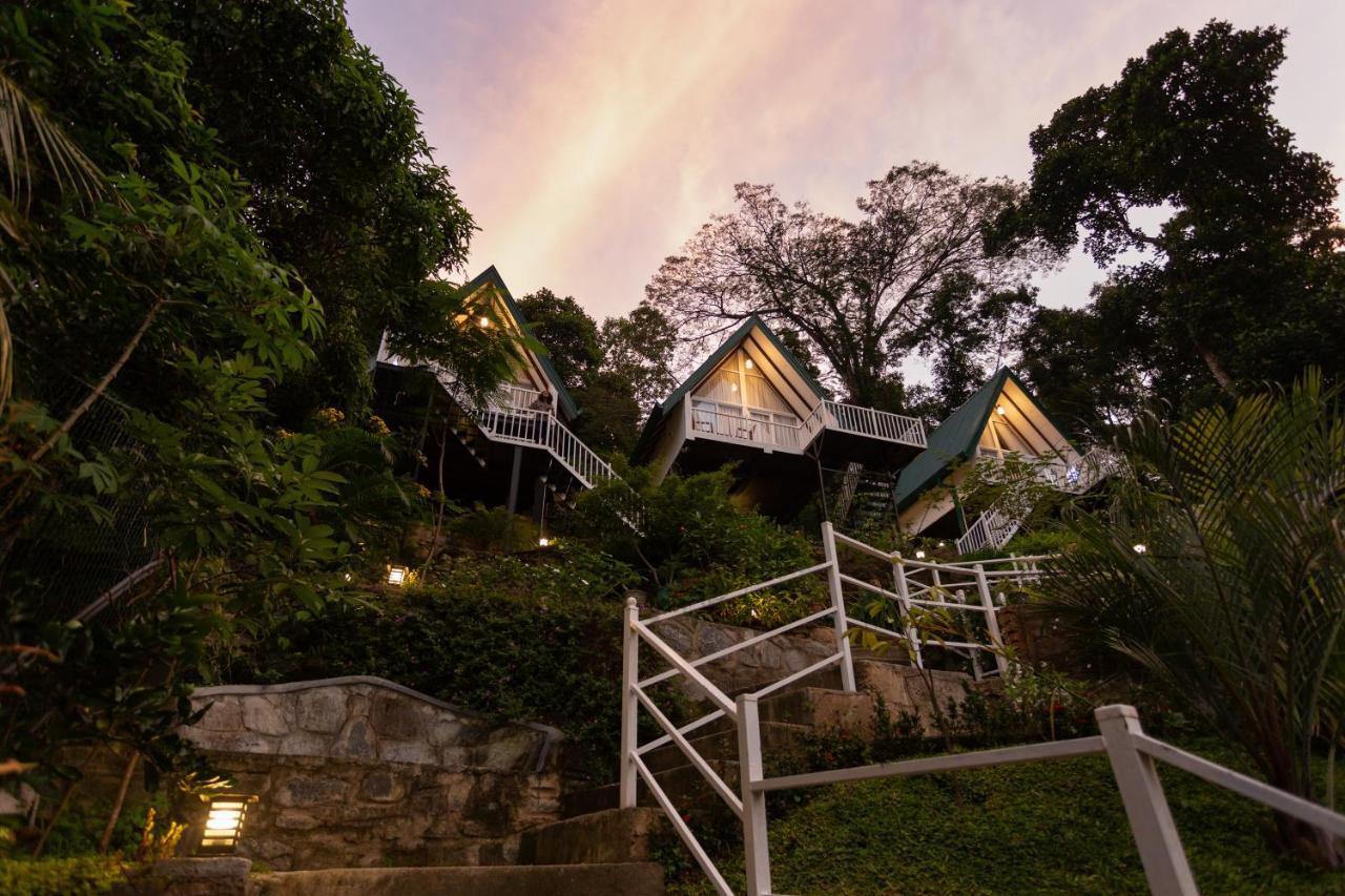 Orchid Villa Kandy Eksteriør billede